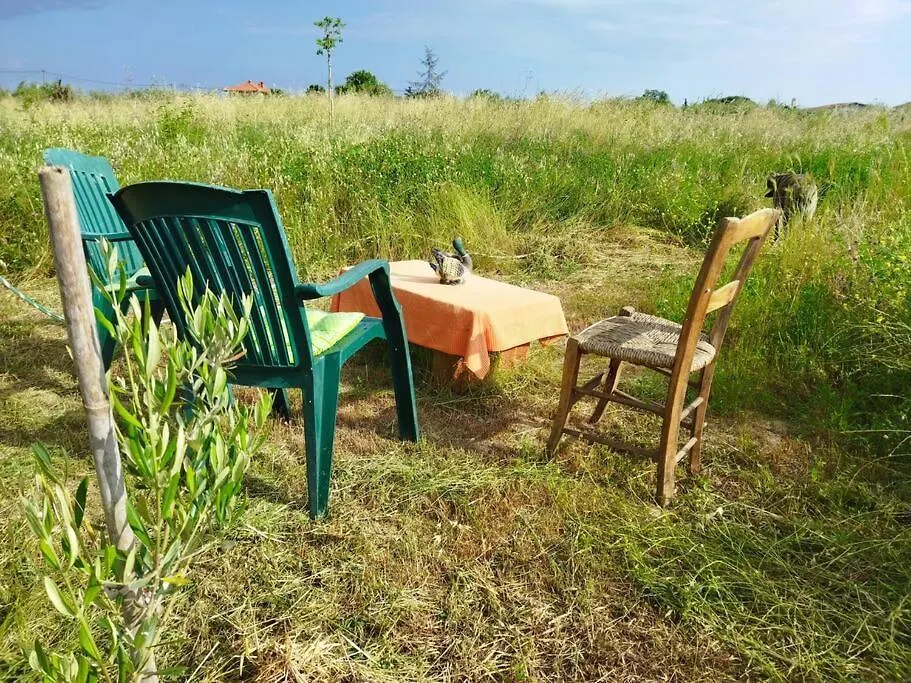Do Nothing Land Villa Thessaloniki
